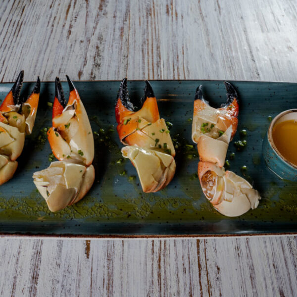 Los famosos platillos de Fred´s House