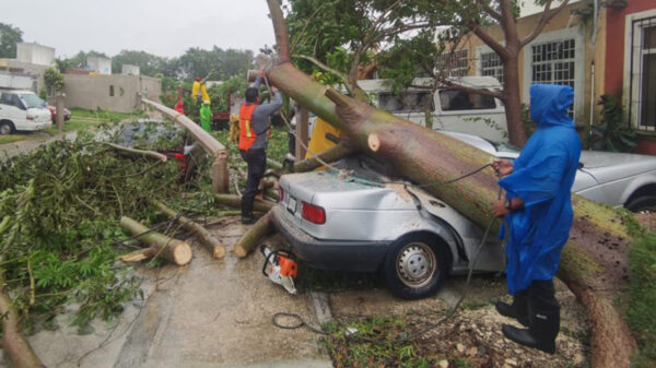 Saldo blanco en Puerto Morelos tras el paso de Grace