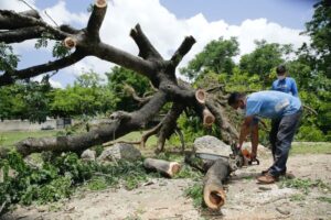 Reportan saldo blanco en Yucatán tras el paso del huracán Grace