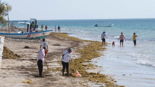 Recupera Puerto Morelos su imagen urbana y turística