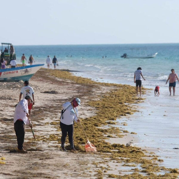 Recupera Puerto Morelos su imagen urbana y turística