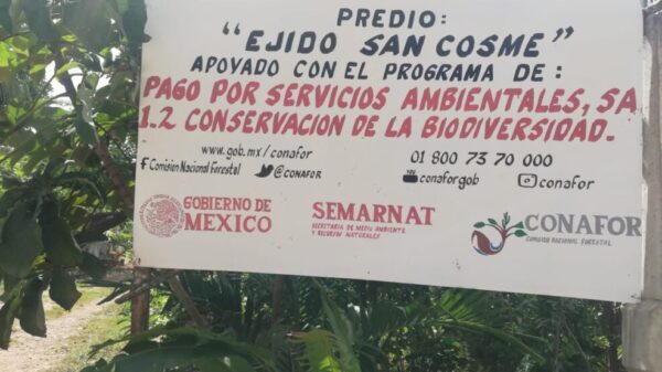 Beneficia programa de servicios ambientales a Lázaro Cárdenas