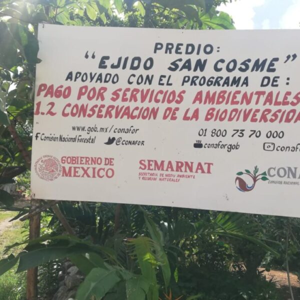 Beneficia programa de servicios ambientales a Lázaro Cárdenas