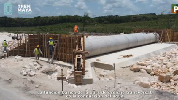 Video: En el Tren Maya se construyen obras de drenaje transversal para la conectividad hídrica y faunística