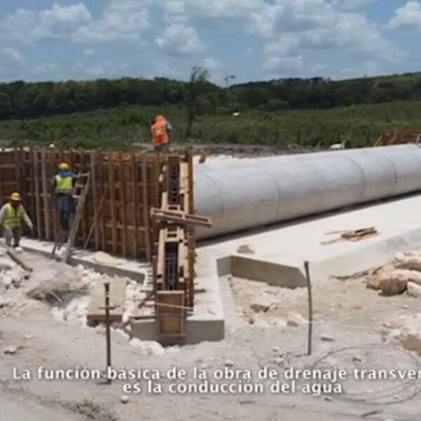 Video: En el Tren Maya se construyen obras de drenaje transversal para la conectividad hídrica y faunística
