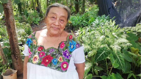 Afianza vivero con recursos propios, pero pide apoyo por Covid-19