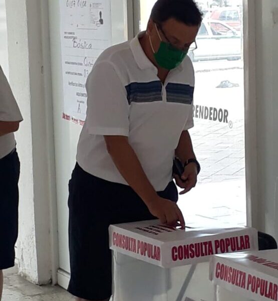 La consulta popular es un ejercicio histórico democrático para México: Luis Alegre