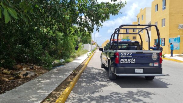 Cancún: Hallan presuntos restos humanos en Cielo Nuevo.