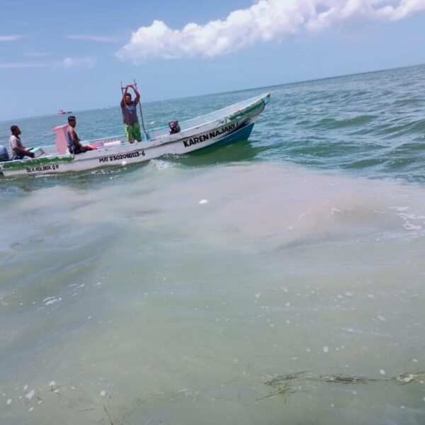 Trabajan buzos para restablecer servicio de agua potable a Holbox.