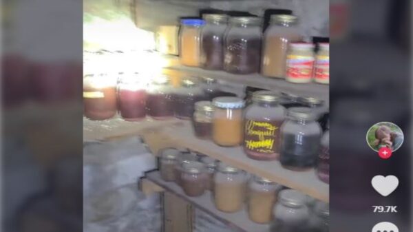Una mujer estadounidense, descubrió bajo en el suelo de su casa una bodega con todo tipo de alimentos enlatados