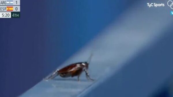 Mientras realizaba una transmisión de los Juegos Olímpicos de Tokio, un camarógrafo ignoró por completo el partido para grabar a una cucaracha
