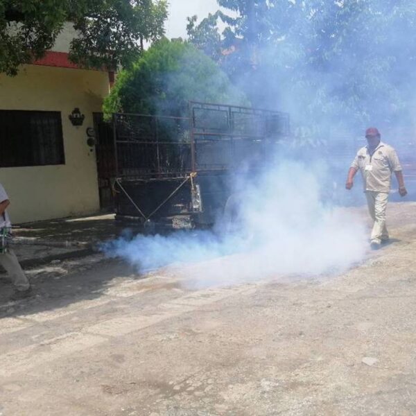 Fumigan colonias de Mérida contra el dengue, zika y chinkunguya