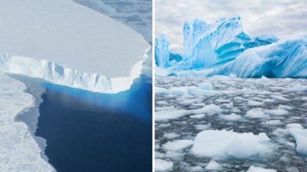 Costas de todo el mundo podrían quedar bajo el agua si “glaciar del Juicio Final” se derrite