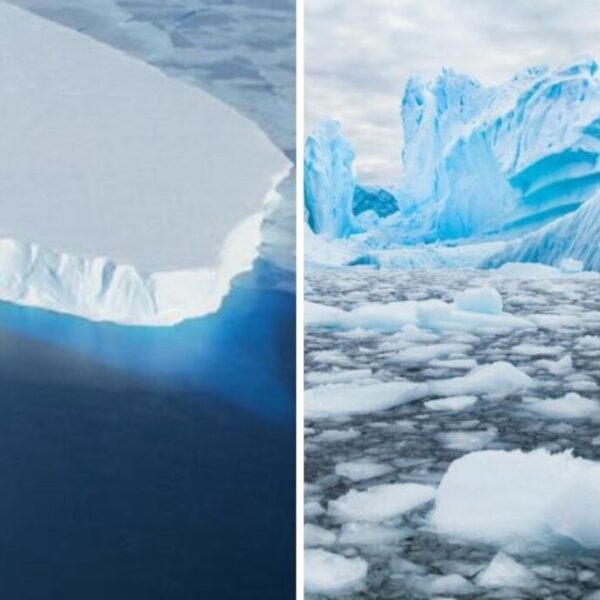 Costas de todo el mundo podrían quedar bajo el agua si “glaciar del Juicio Final” se derrite