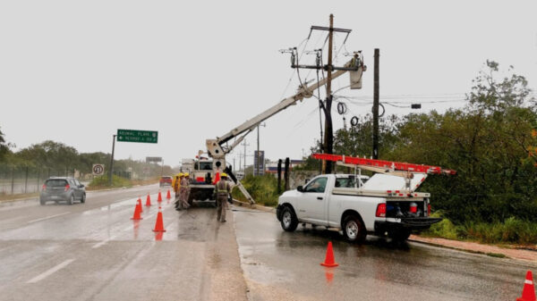 CFE lleva 10 por ciento de avance en restauración de energía eléctrica