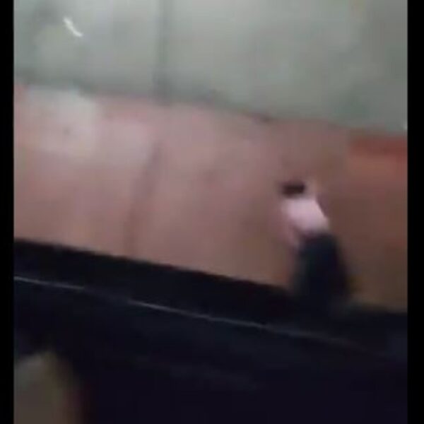 Una fiesta clandestina, terminó en tragedia luego de que una joven cayera desde el segundo piso de un departamento tras perder el equilibrio