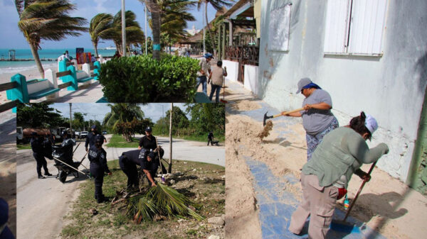Implementa gobierno de Puerto Morelos mega operativo de limpieza