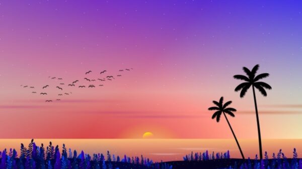 Si cuando cae el sol y el cielo se tiñe de colores te invade la pasión por buscar el mejor sitió para ver la puesta de sol, no hay duda... sufres de opacarofilia