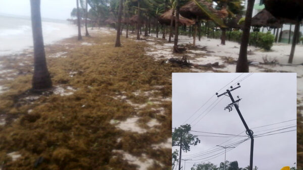 Grace fue benévolo con Tulum, solo dejó leves daños