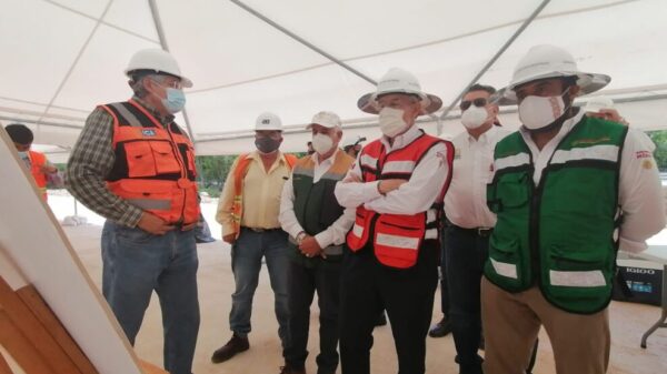 Contará el Tren Maya con 107 pasos ganaderos a lo largo de la ruta.