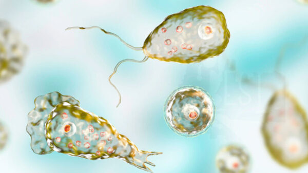 Fallece niño por ameabe ‘comecerebros’ que adquirió en piscina pública de Estados Unidos