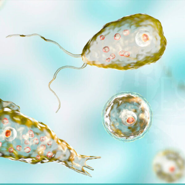 Fallece niño por ameabe ‘comecerebros’ que adquirió en piscina pública de Estados Unidos