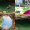 Familia de Yucatán encuentra cenote en el patio de su casa