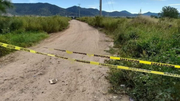 Encuentran cuerpo de bebé recién nacido embolsado en Hermosillo