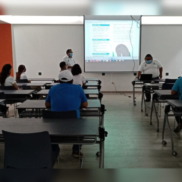 Concientización para la protección de los manatíes en Quintana Roo