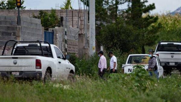 Reportan en Zacatecas en solo un día 31 personas asesinadas