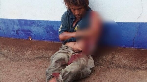 Cocodrilo mutila un brazo a un indigente en Tabasco (VIDEO).
