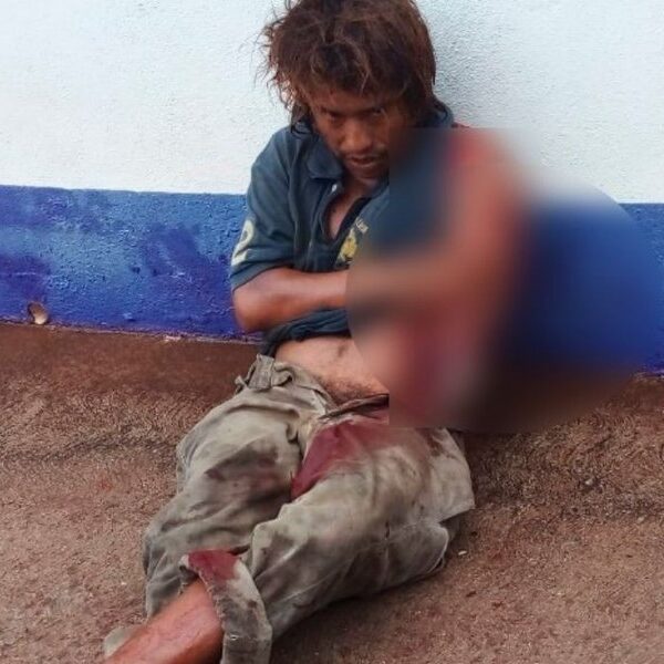 Cocodrilo mutila un brazo a un indigente en Tabasco (VIDEO).