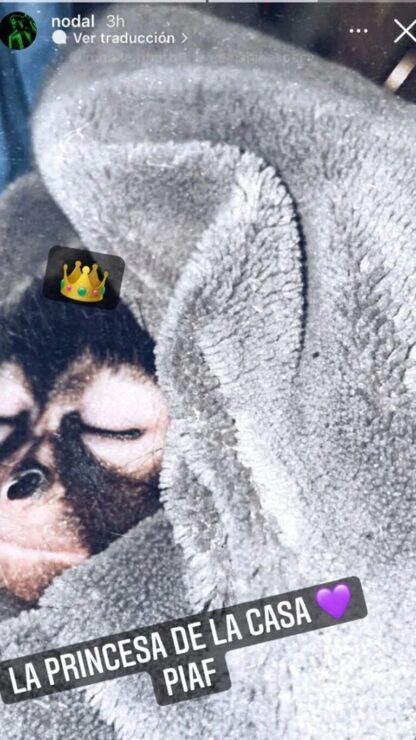 Esta es la que ocupa el lugar de Belinda en el corazón de Christian Nodal