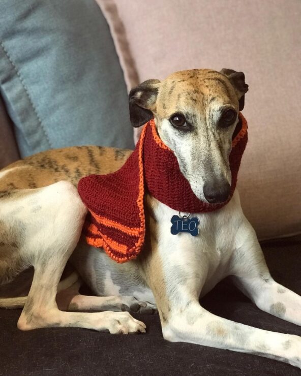 La preocupación más grande de YosStop en la cárcel