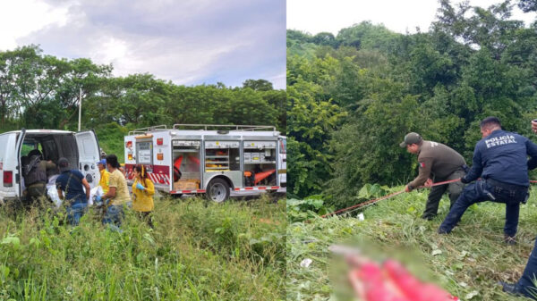 Cae camioneta en barranco en Veracruz; mueren cuatro cubanos