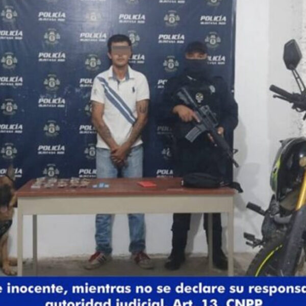 Cancún: Perro policía captura a a presunto narcomenudista