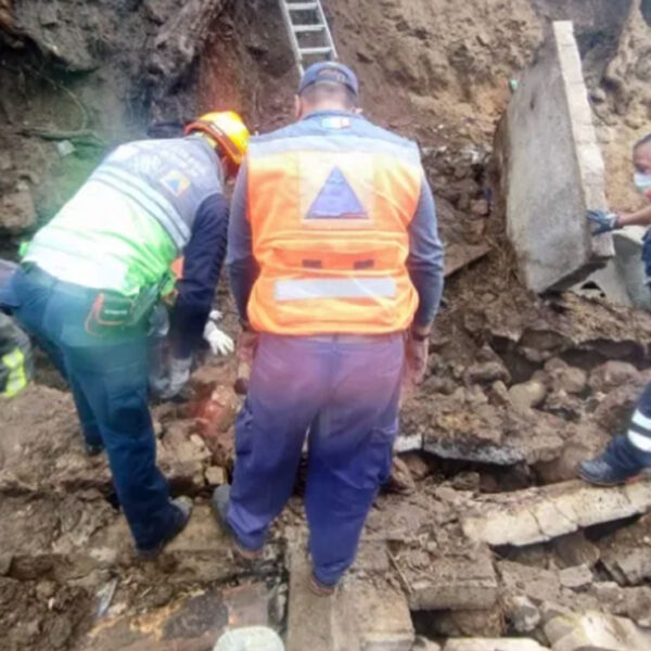 Tragedia canina, derrumbe mata a varios perritos en albergue