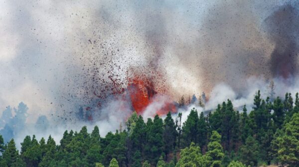 Entra volcán erupción en isla española de La Palma (VIDEO).