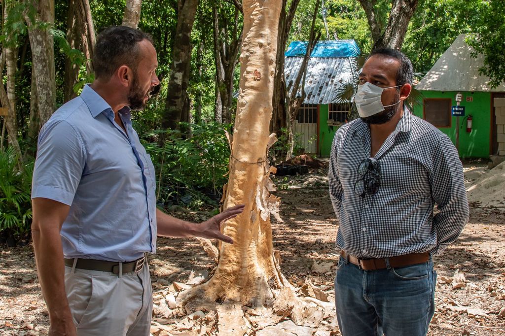 Fonatur realiza obras de rehabilitación en Jardín Botánico de Puerto Morelos; acordó construir un nuevo camino de acceso.