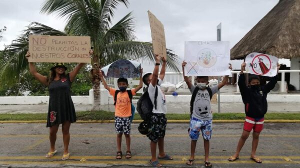 Cozumeleños rechazan la construcción de un cuarto muelle de cruceros.