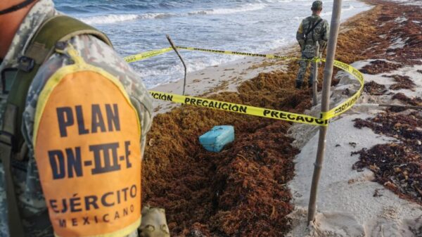 Recalan en playa de Cozumel más de 80 kilos de drogas.