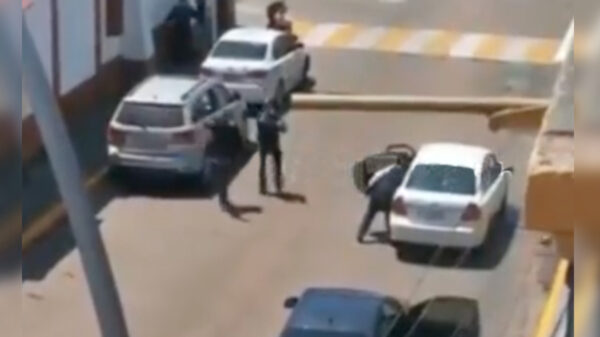 Video: Federales abaten a balazos a delincuente en Metepec