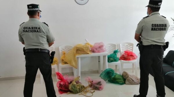 Decomisan aves exóticas en tramo carretero Tulum-Puerto Juárez.