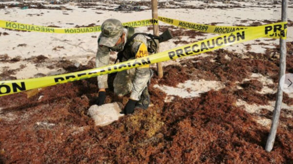 Asegura el Ejército Mexicano paquete de drogas en Cozumel