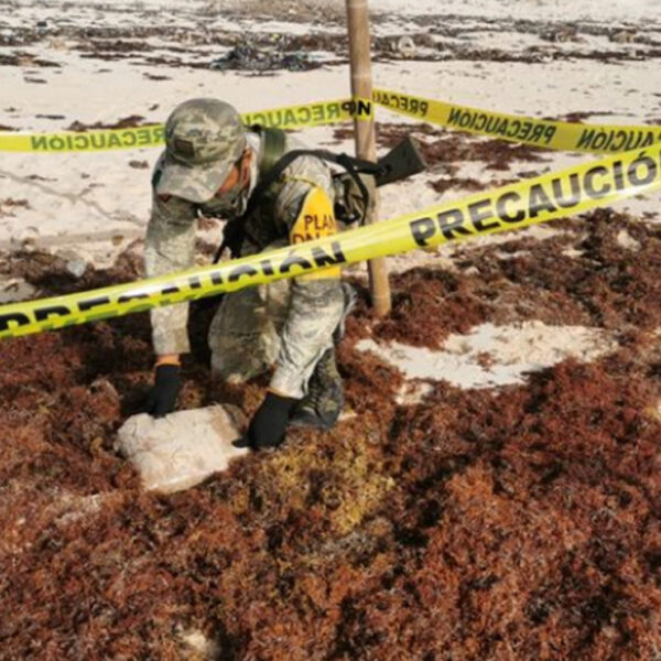 Asegura el Ejército Mexicano paquete de drogas en Cozumel