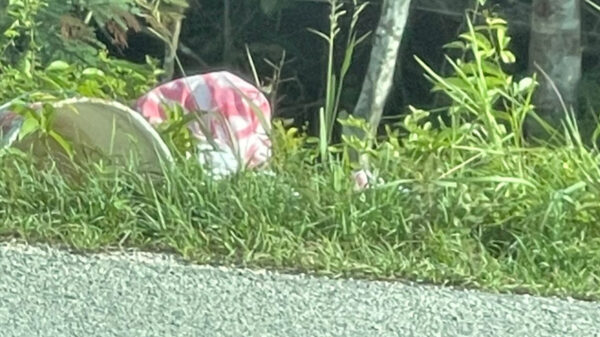 Encuentran cadáver desmembrado en tramo carretero de Tulum