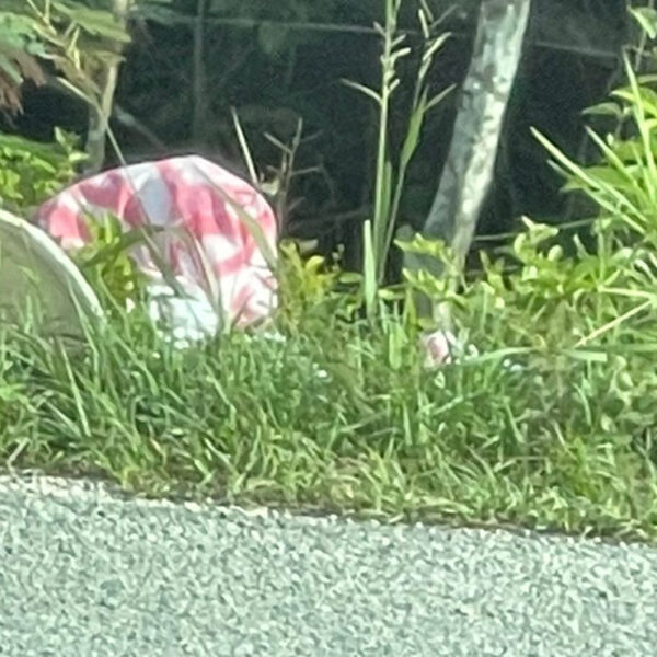 Encuentran cadáver desmembrado en tramo carretero de Tulum