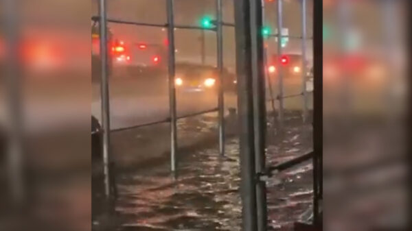 Video: Inusual inundación en Nueva York deja 23 muertos