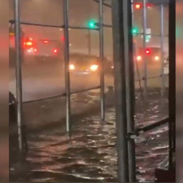 Video: Inusual inundación en Nueva York deja 23 muertos