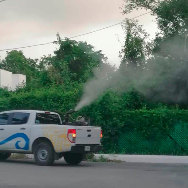 Emprenden jornadas de fumigación en Puerto Morelos para evitar proliferación de moscos
